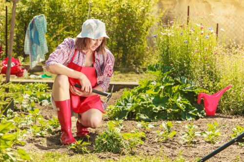 Beautiful Rotherhithe garden showcasing professional maintenance