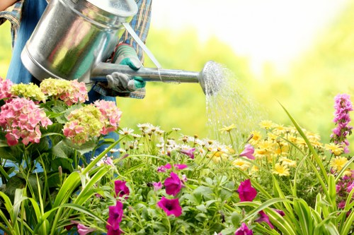 Rotherhithe garden showcasing unique plant selection