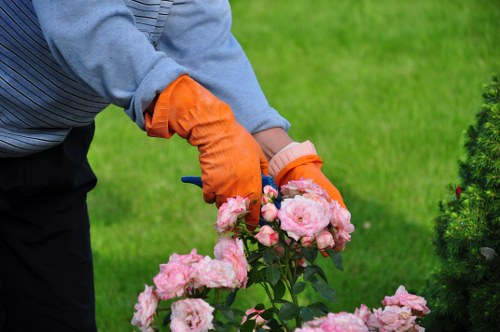 Eco-friendly pressure washing equipment in use