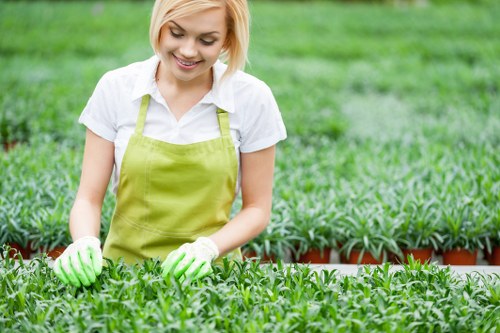 Eco-friendly lawn mowing practices