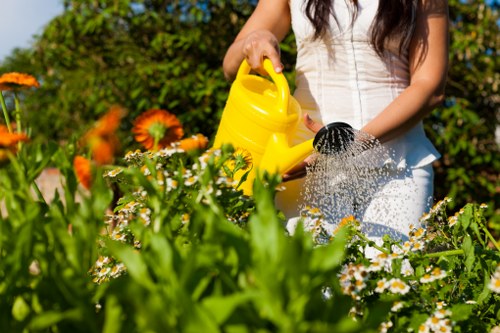 Choosing a reliable garden maintenance service in Rotherhithe