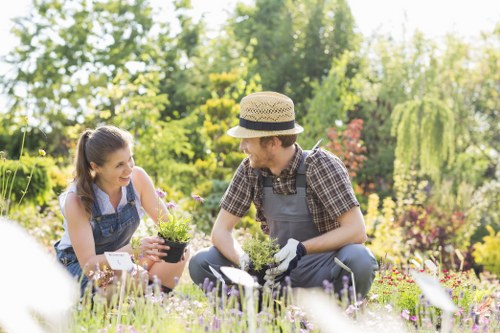 Eco-friendly hedge trimming practices